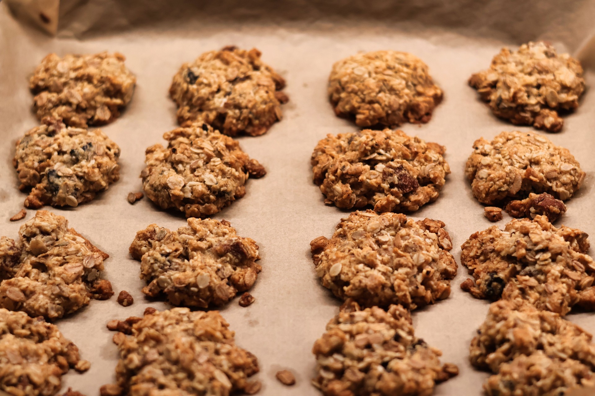 The process of preparing homemade oatmeal cookies - baked cookies placed on a baking tray lined with baking paper
