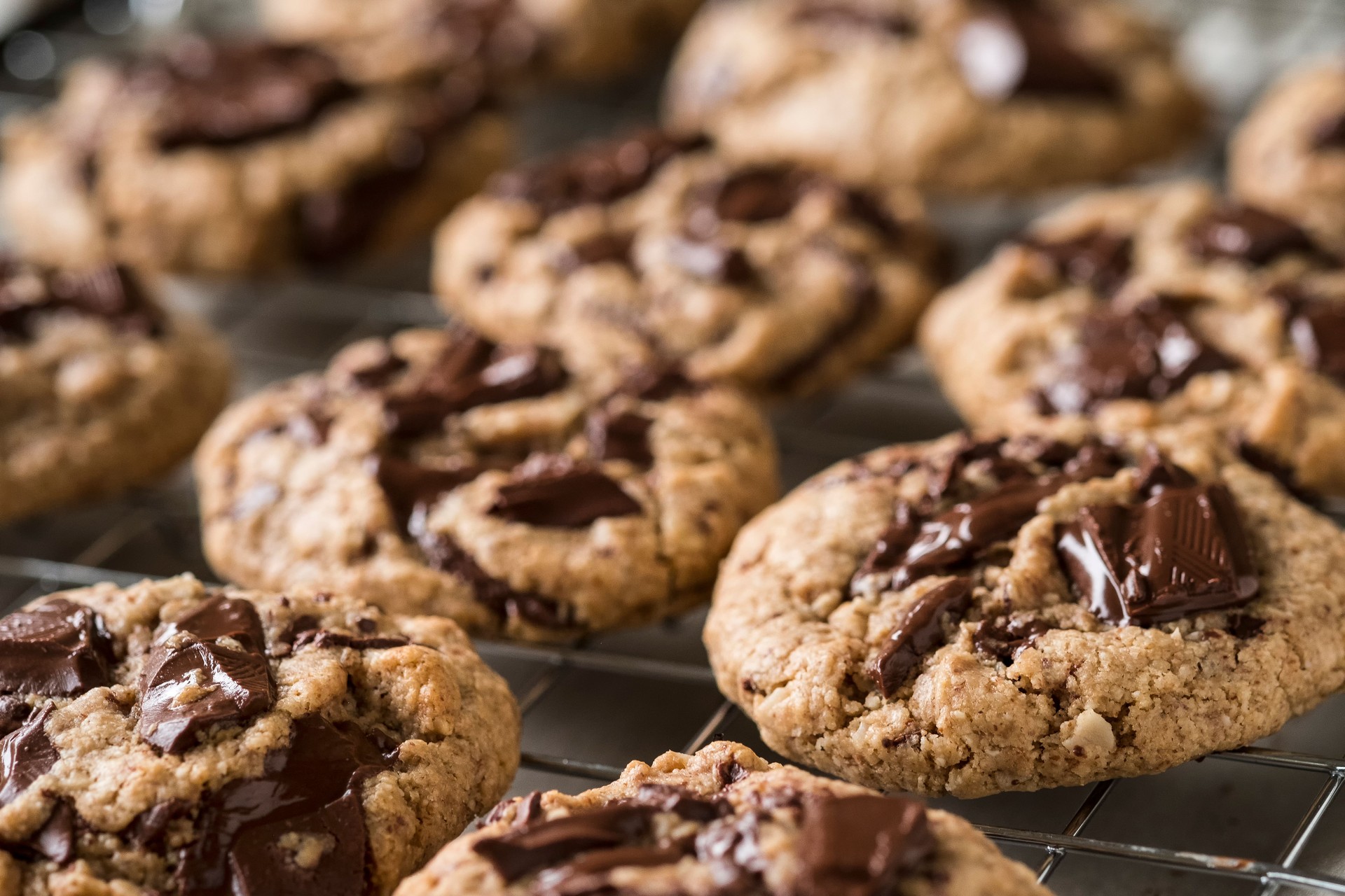 Vegan, Freshly Baked Chocolate Chip Cookies on Rack